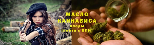 скорость Гусев