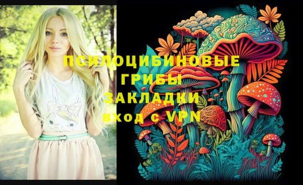 скорость Гусев