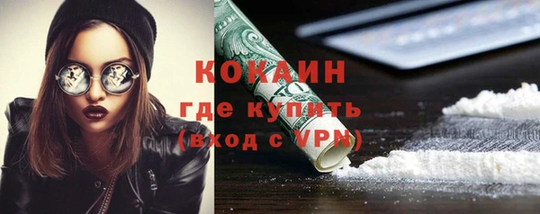 скорость Гусев